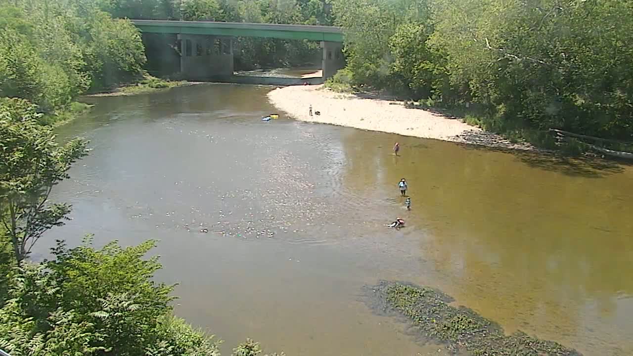 A wide, shallow river under a sunny sky, with several people wading and playing in the water near a sandy bank and a bridge in the background.