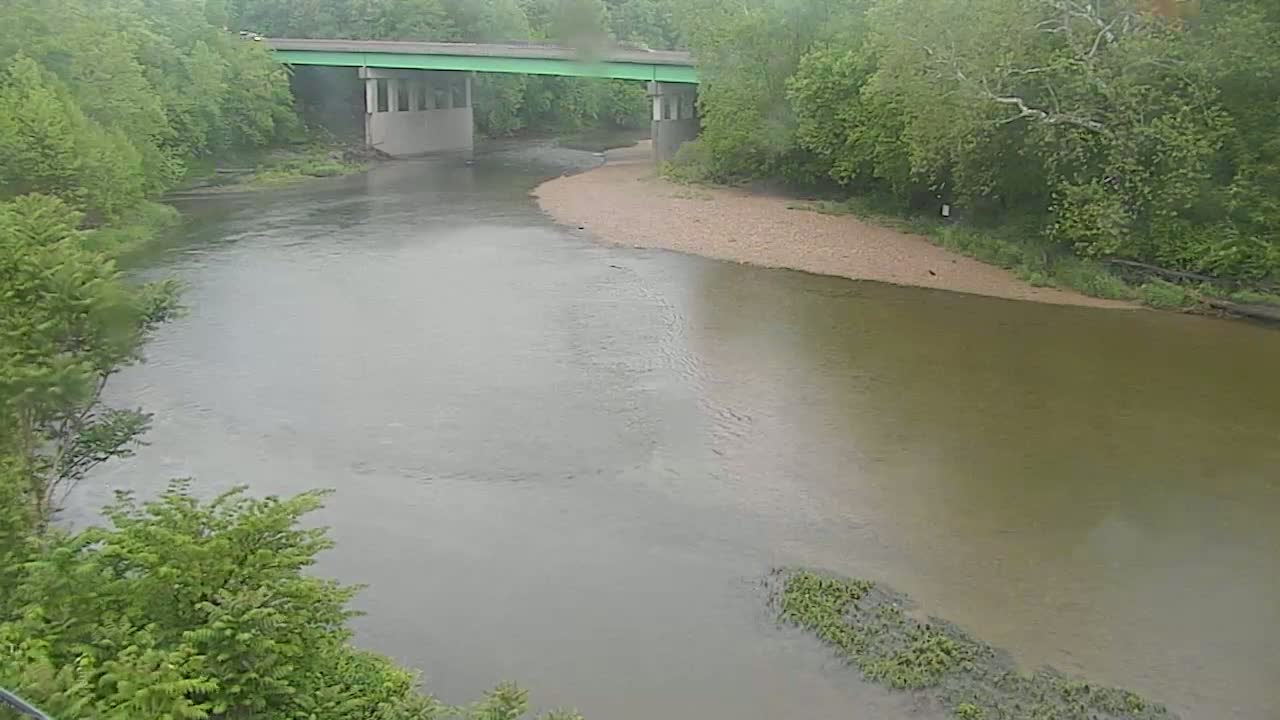 A green bridge spans a murky river bordered by lush green trees under an overcast sky.