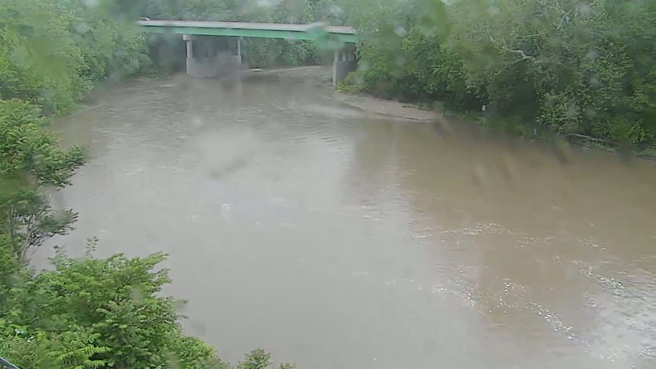 A muddy river flows under a bridge in the rain, surrounded by lush green trees.