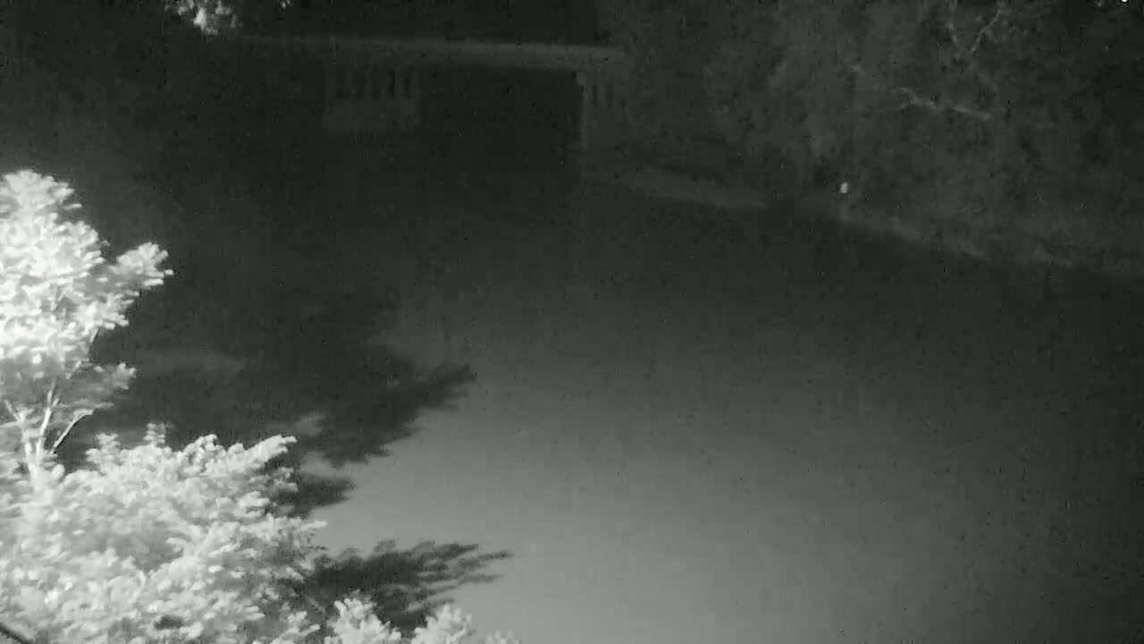 A nighttime, low-light view shows a dark body of water under a bridge, with trees visible in the foreground and background.
