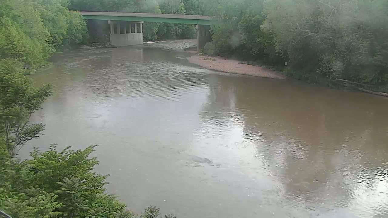 A murky river flows under a green bridge surrounded by lush green trees on an overcast day.