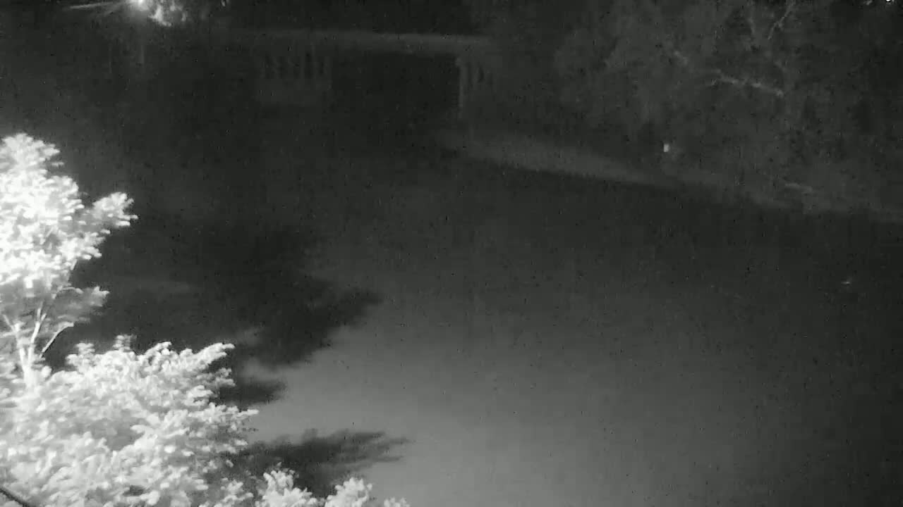A nighttime, low-light view shows a dark body of water reflecting the surrounding trees and a building in the distance.