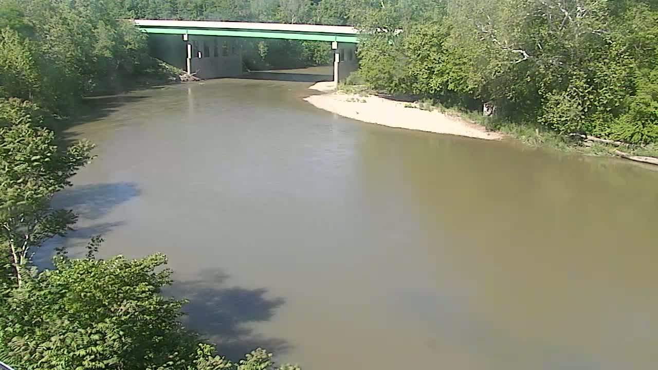 A wide, muddy river flows under a green bridge surrounded by lush green trees on a sunny day.