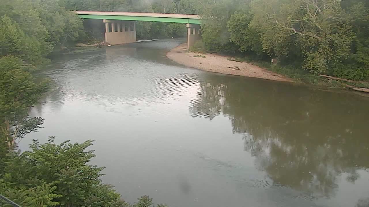 A muted green bridge spans a calm, murky river bordered by lush green trees under an overcast sky.