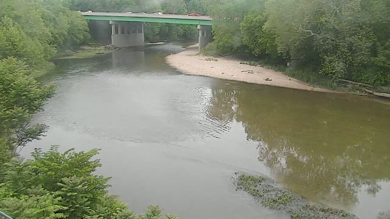 A river flows under a bridge, surrounded by lush green trees on a cloudy day.