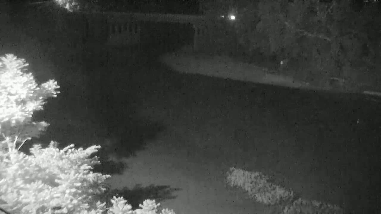 A nighttime, low-light view shows a dark body of water under a bridge, with vegetation visible in the foreground and background.