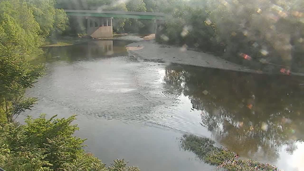 A calm river flows under a bridge on a slightly overcast day, surrounded by lush green trees.