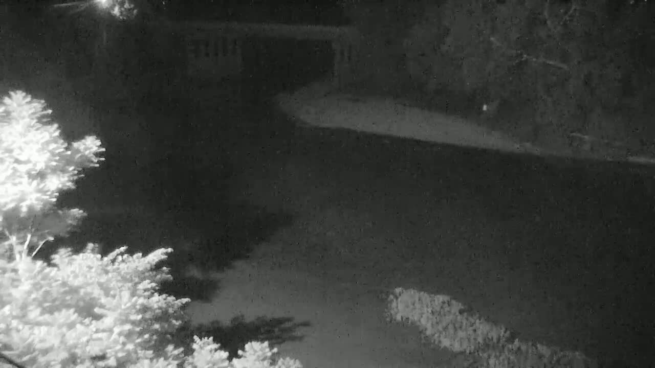 A nighttime, low-light view shows a paved area bordered by shrubs and trees, with some wind visible.