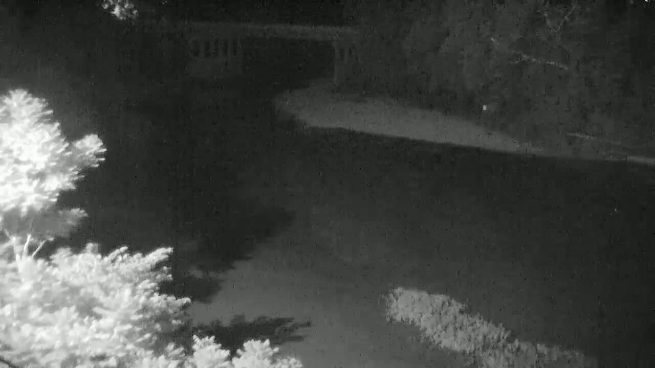 A nighttime, low-light image shows a dark body of water, possibly a pond or river, bordered by vegetation and a structure in the background.