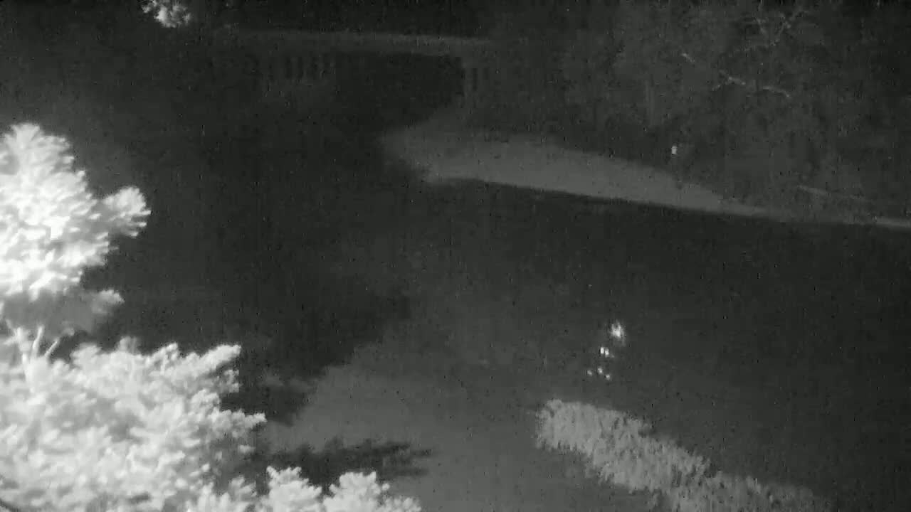 A nighttime, low-light image shows a dark expanse of ground with some bushes and trees,  illuminated by faint lights.