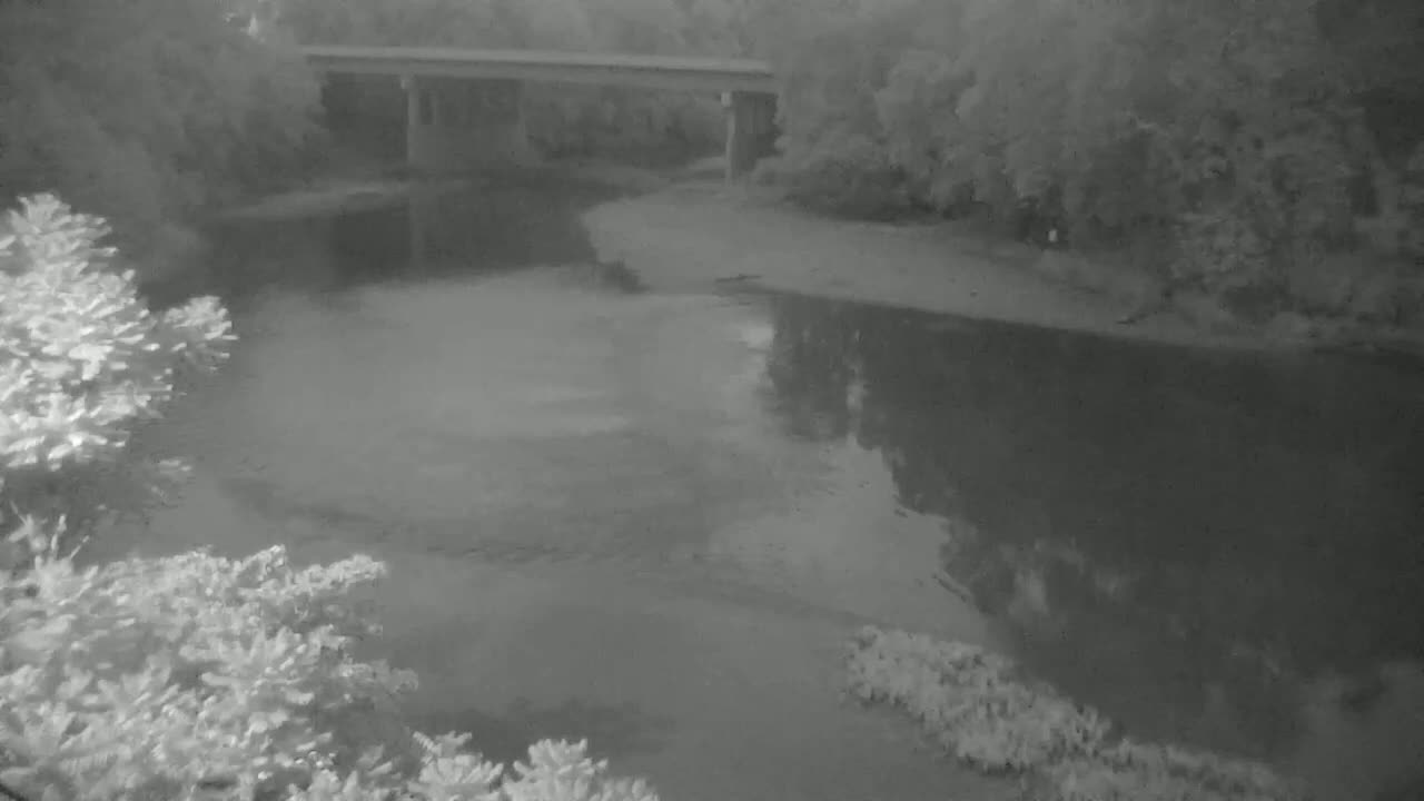 A bridge spans a calm river bordered by trees and shrubs under an overcast sky.