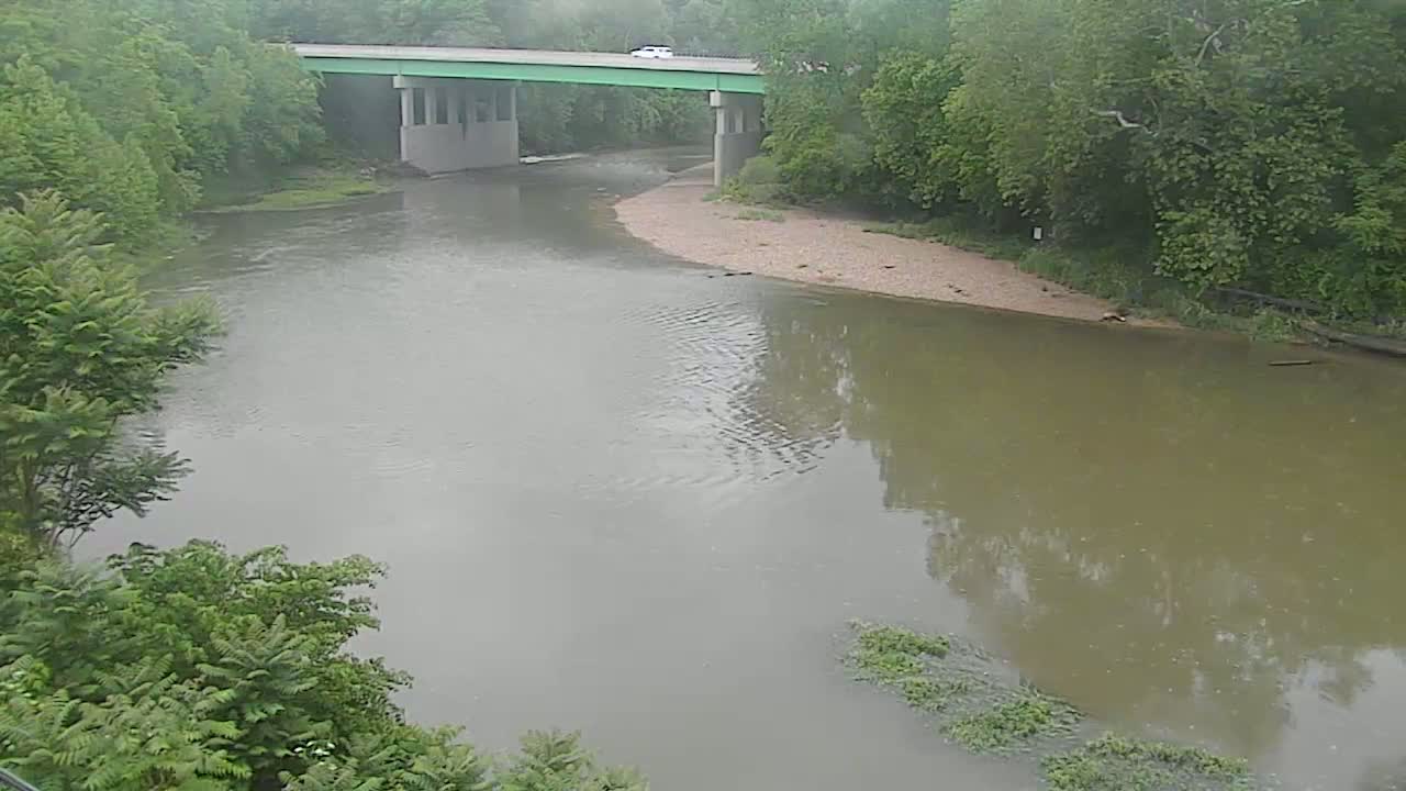A murky river flows under a bridge surrounded by lush green trees on an overcast day.