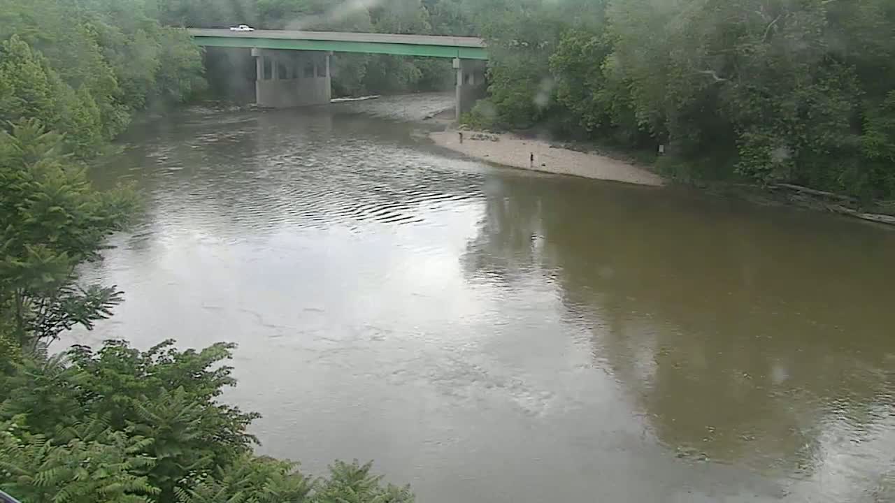 A murky river flows under a bridge on a rainy day, with lush green vegetation lining the banks.