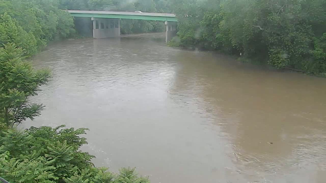 A muddy river flows under a bridge during a rainy day, surrounded by lush green trees.