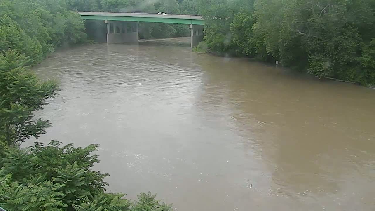A muddy, swollen river flows under a bridge bordered by lush green trees in rainy weather.