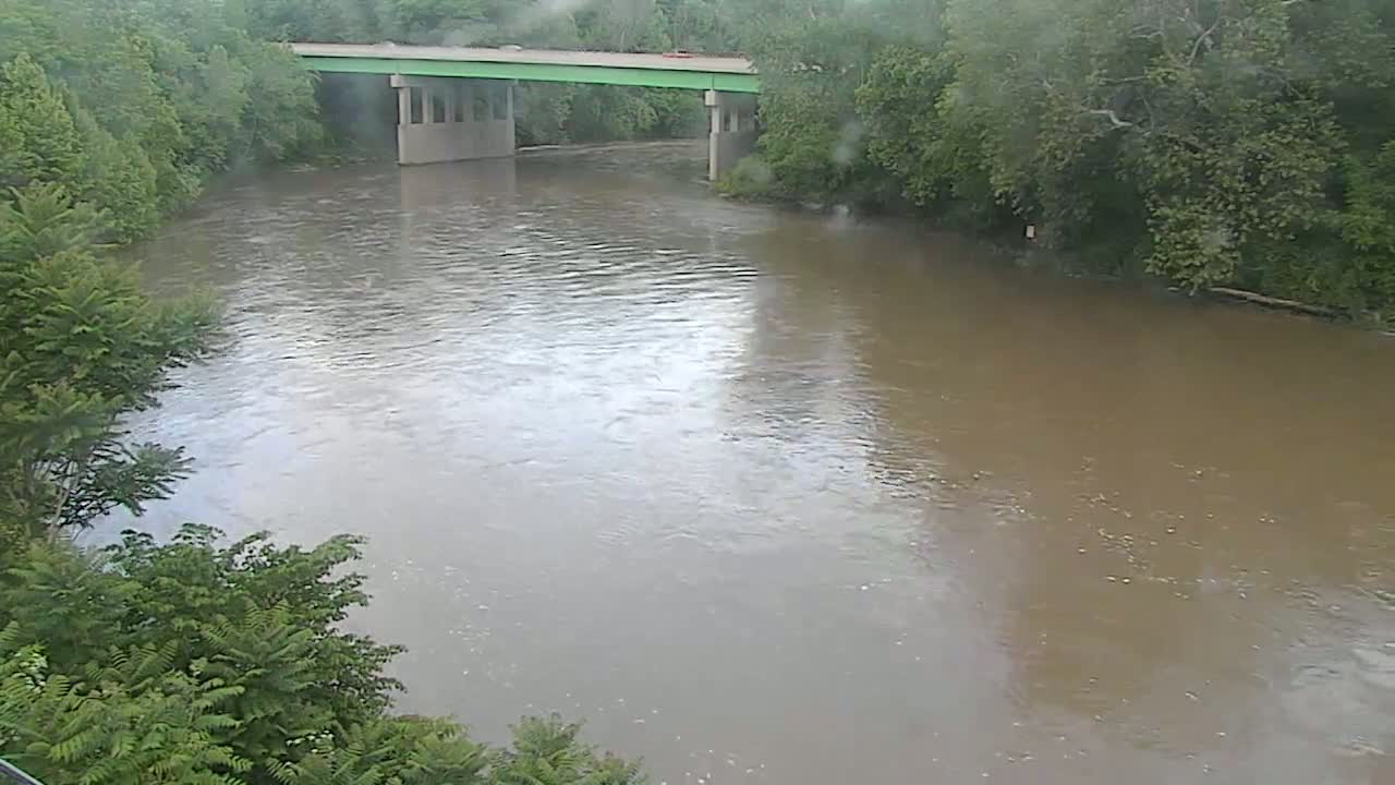 A muddy river flows under a bridge in a rainy setting, surrounded by lush green trees.