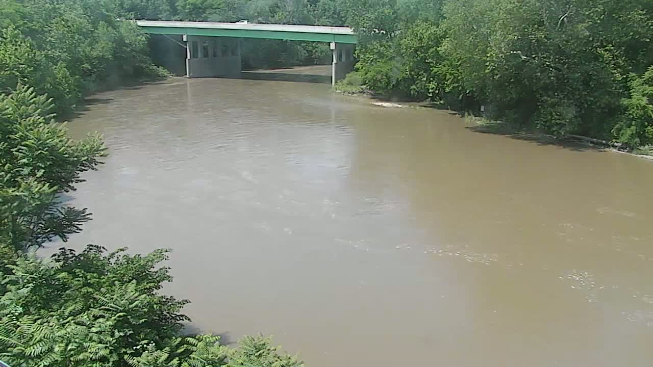 A muddy river flows under a bridge lined with lush green trees on a sunny day.