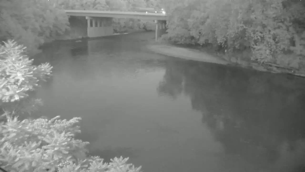 A bridge spans a calm river bordered by trees under a cloudy sky.