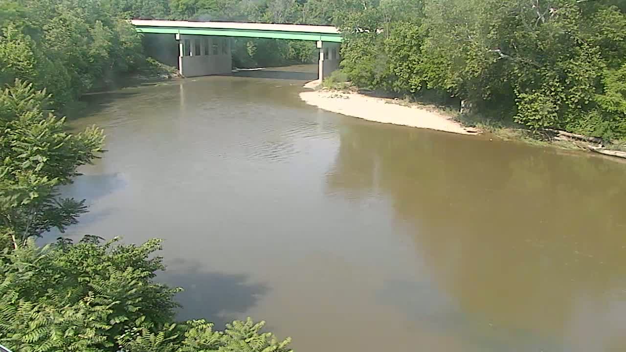 A wide, murky river flows under a green bridge, surrounded by lush green trees on a sunny day.