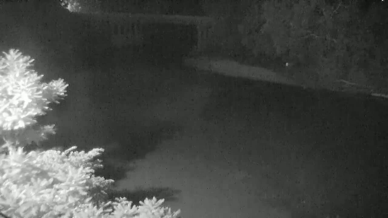 A nighttime, snowy scene shows a body of water, possibly a lake or river, viewed from a snowy, tree-lined bank.