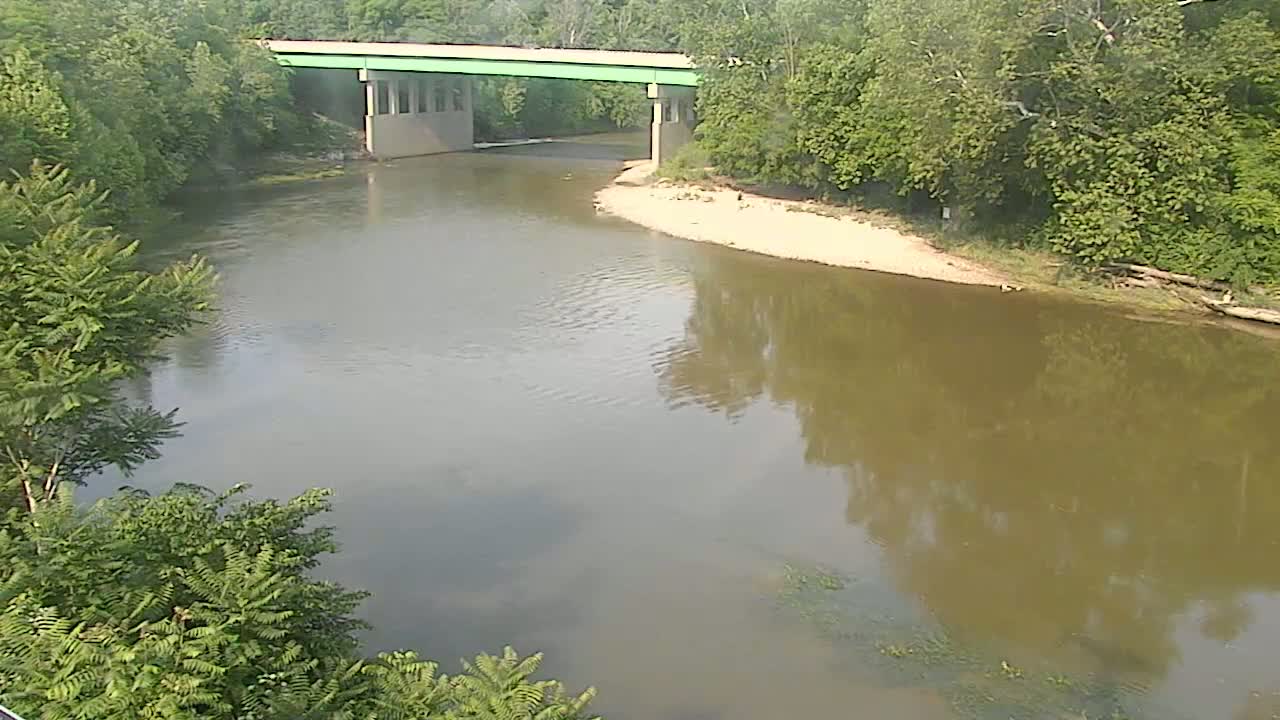 A muted green bridge spans a murky brown river lined with lush green trees under a sunny sky.