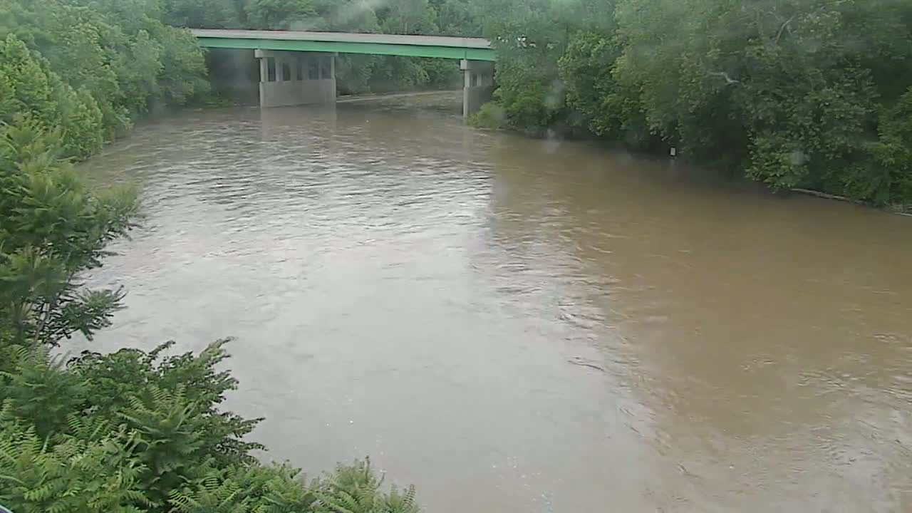 A muddy river flows under a bridge during a light rain, surrounded by lush green trees.