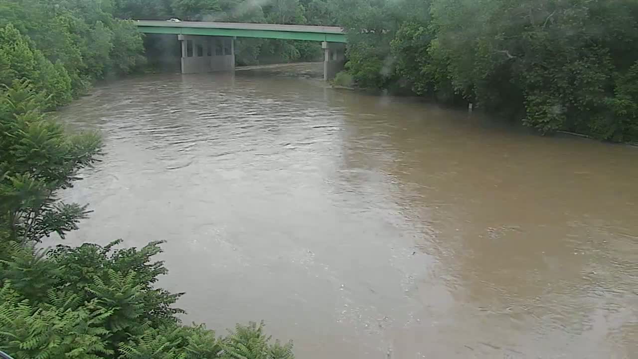 A muddy river flows under a bridge during a light rain, surrounded by lush green trees.