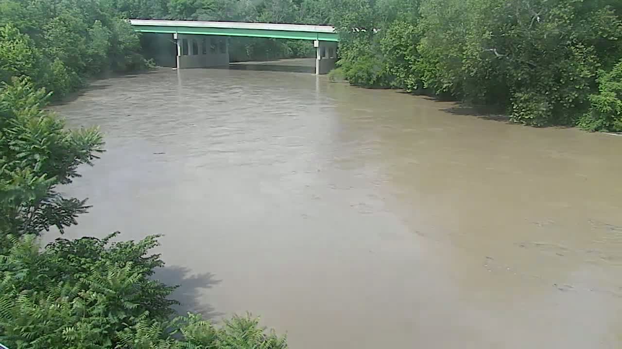 A muddy river flows under a bridge, bordered by lush green trees.