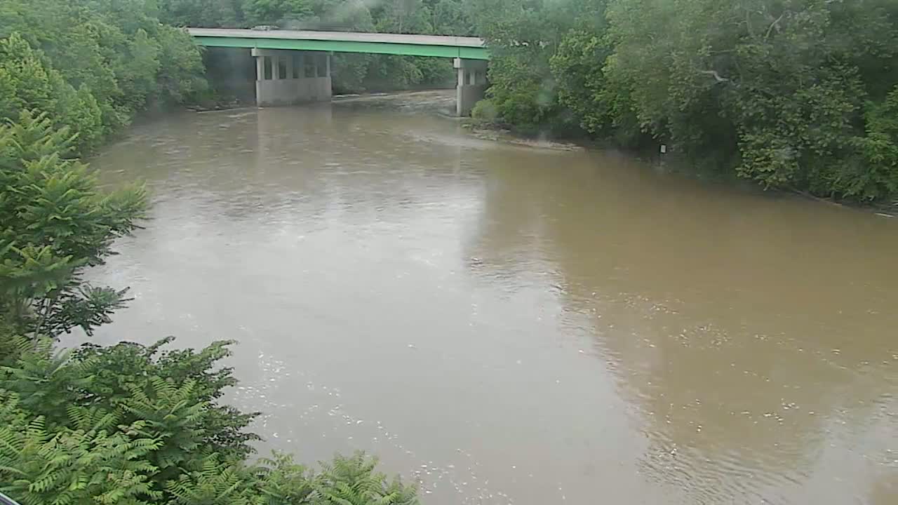 A muddy river flows under a green bridge surrounded by lush green trees in overcast weather.