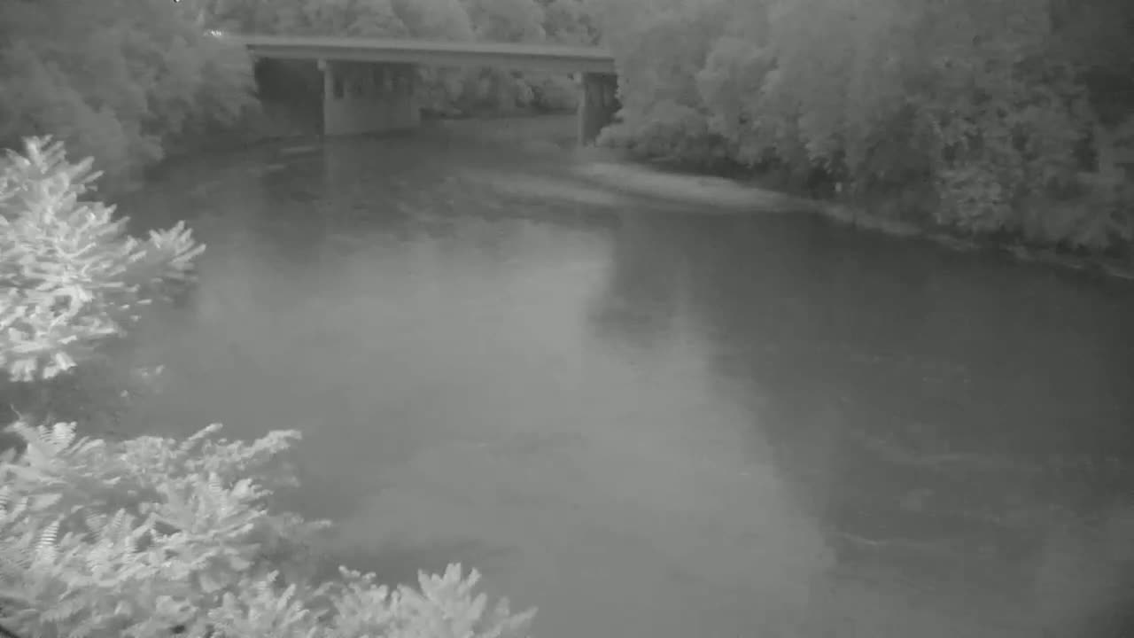 A bridge spans a calm river bordered by lush trees under an overcast sky.