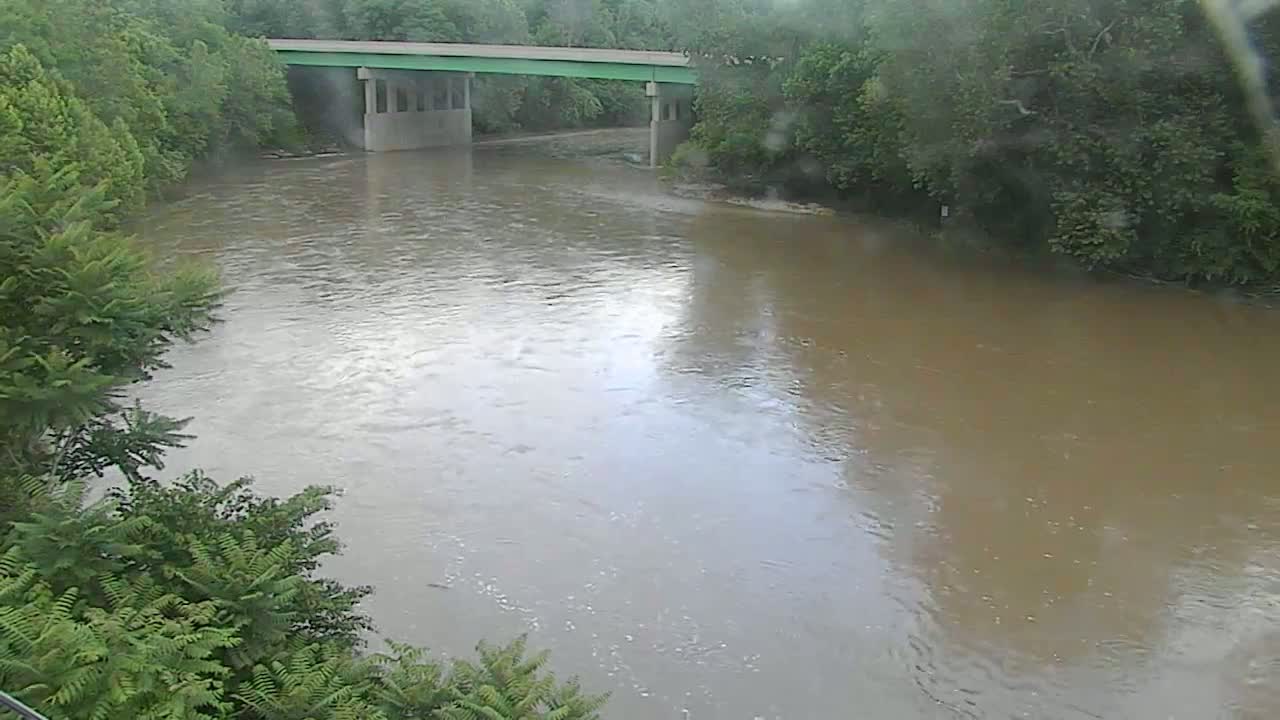 A muddy river flows under a bridge surrounded by lush green trees in overcast weather.