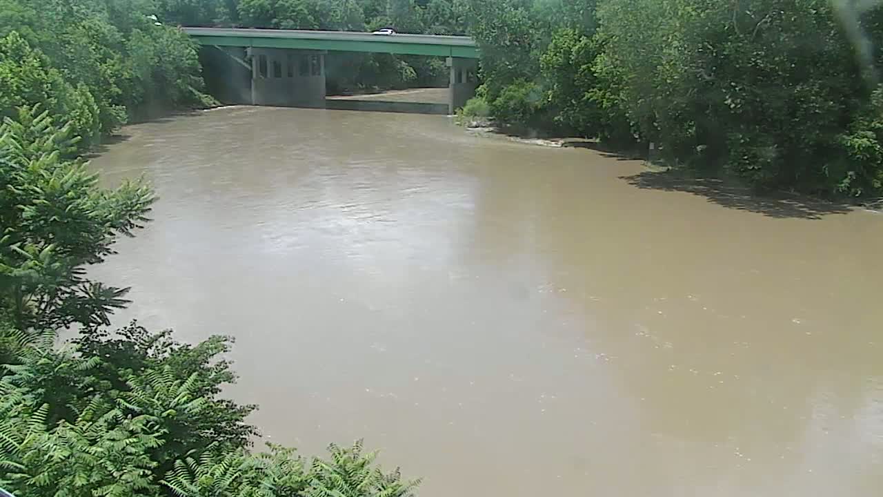 A wide, muddy river flows under a bridge surrounded by lush green trees.