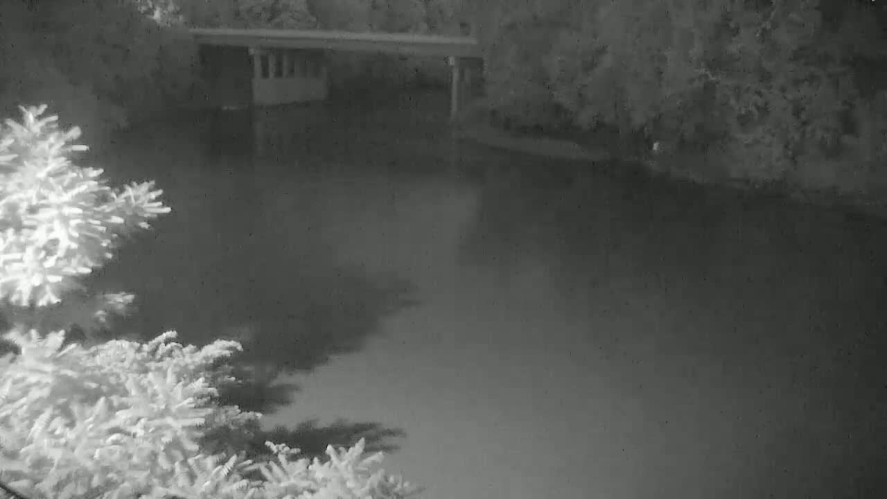 A nighttime, grayscale image shows a bridge over a calm river, surrounded by trees.