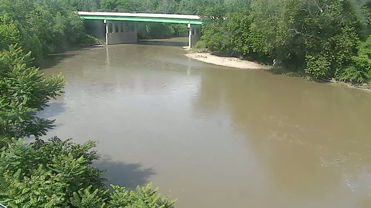 A wide, murky brown river flows under a light-green bridge surrounded by lush green trees on a sunny day.