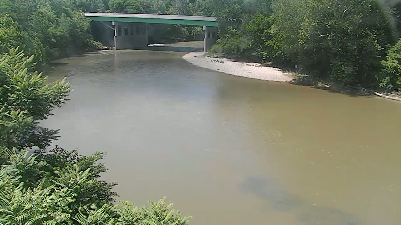 A muted-brown river flows under a bridge, surrounded by lush green trees on a sunny day.
