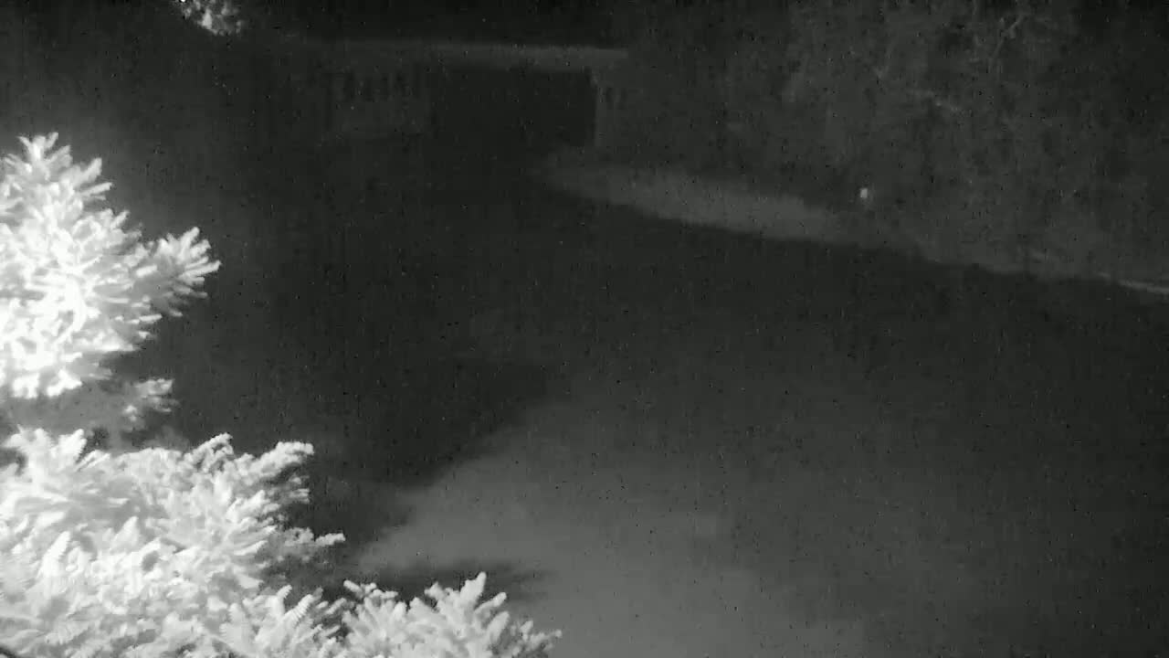 Snow falls at night on a dark landscape, partially obscuring a building and trees covered in snow.