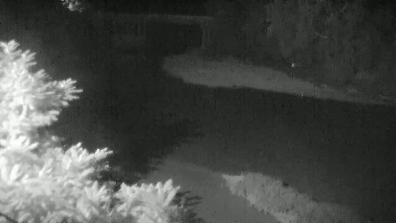 A nighttime, snowy scene shows a snow-covered driveway leading to a dark, possibly wooded area.