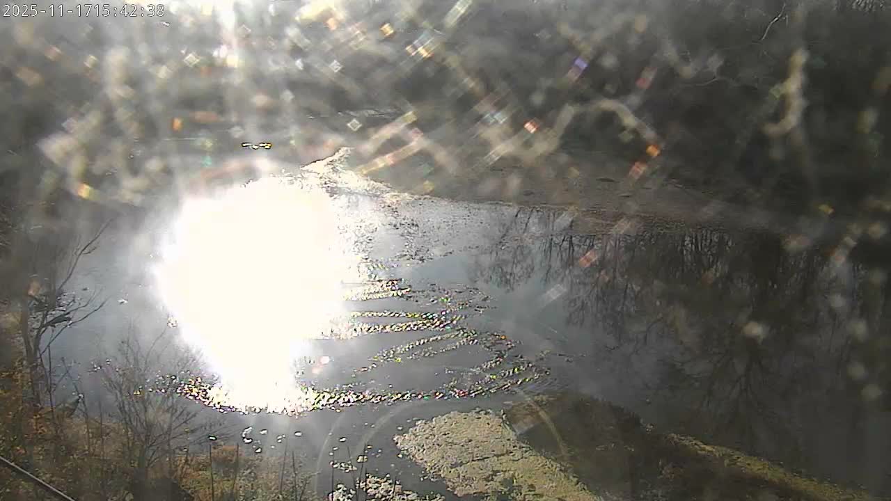 Crawfordsville Sugar Creek Live Cam - Crawfordsville, Montgomery, Indiana, USA