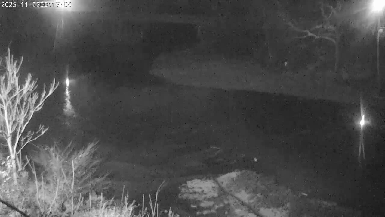 A grainy, black-and-white night view captures a drizzly outdoor scene featuring bare trees and bright light reflections on a dark, wet surface.