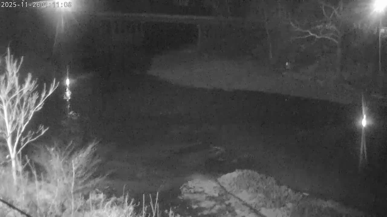 A grainy, monochromatic night vision image captures a clear and calm outdoor scene featuring a body of water reflecting bright streetlights, bordered by bare trees and dark terrain.