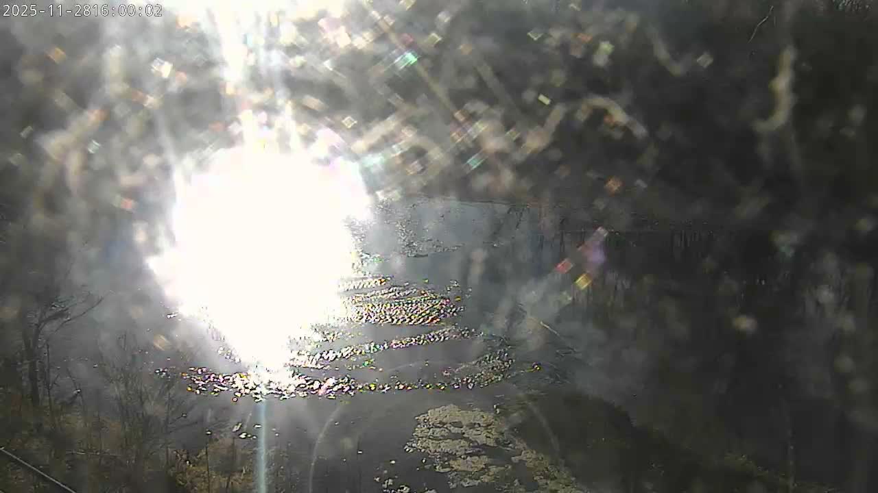 A severely glared outdoor view, possibly a landscape with bare trees and a reflective surface like a wet road or water, is obscured by intense sunlight and lens flare emanating from the left, suggesting a bright but hazy or wet day.