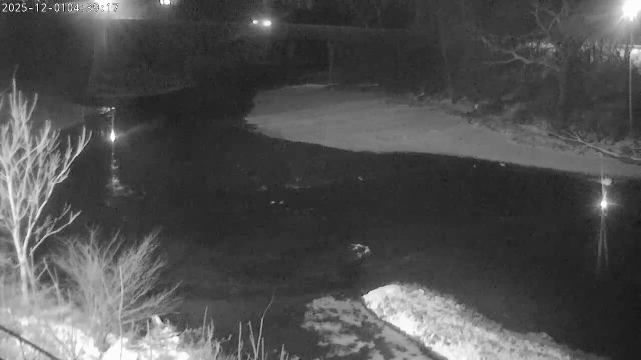 This monochromatic night vision scene captures a river winding through a snow-covered winter landscape with bare trees, a distant bridge with vehicle headlights, and streetlights reflecting on the water, all under clear and cold conditions.