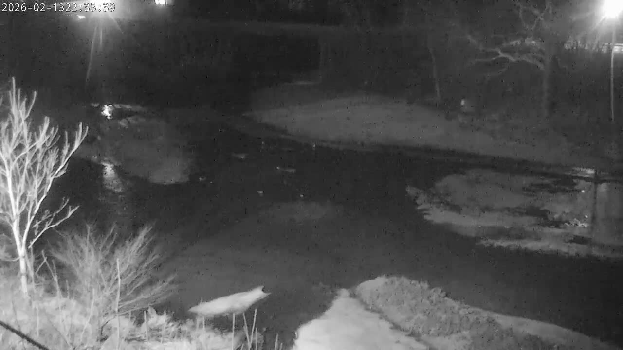 Crawfordsville Sugar Creek Live Cam - Crawfordsville, Montgomery, Indiana, USA