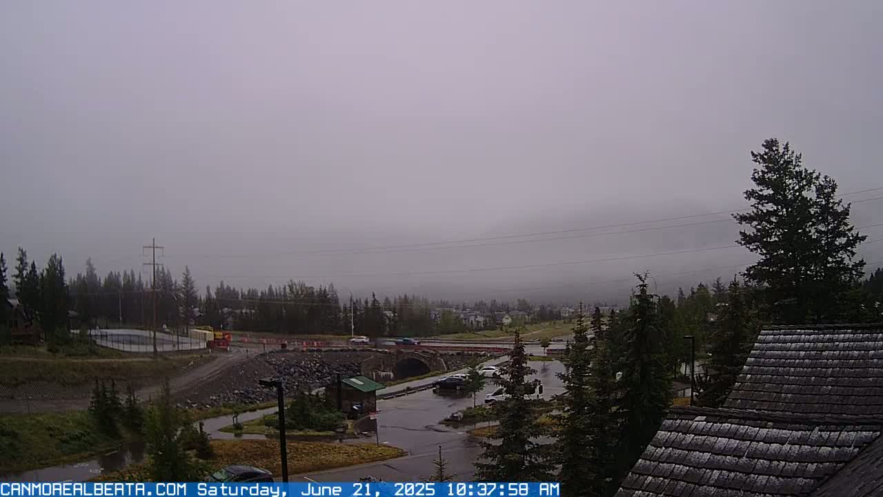 A foggy, overcast day reveals a parking lot, a stone bridge, and a residential area with evergreen trees, all near a body of water.