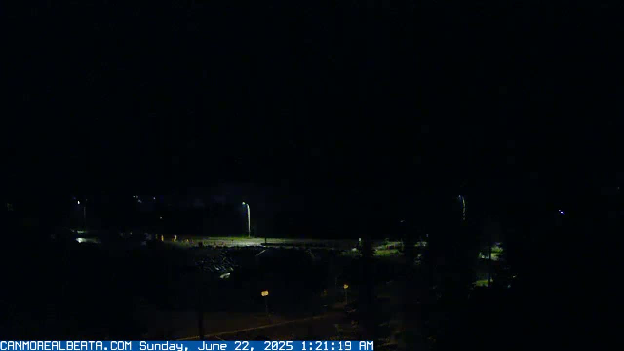 A dark, nighttime scene shows a sparsely lit parking lot and surrounding vegetation under a clear, black sky.