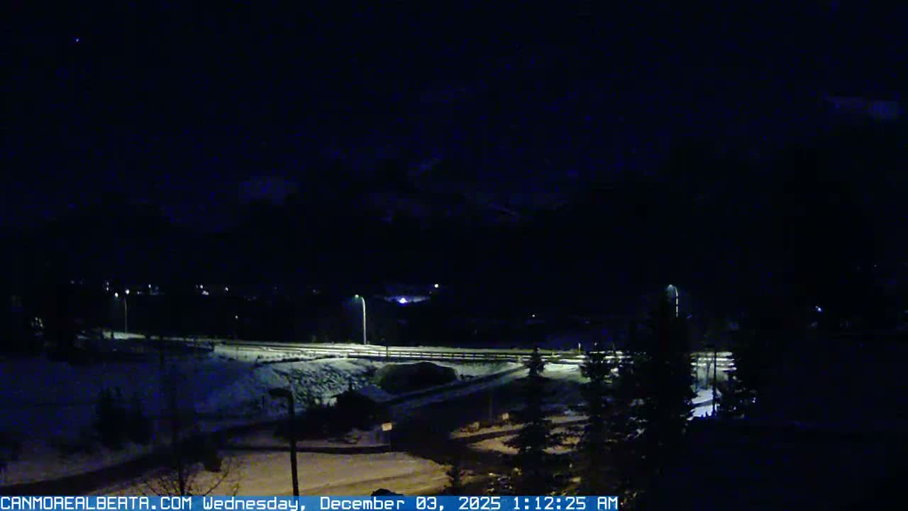 A dark, snowy winter landscape at night features streetlights illuminating a road and pine trees, with faint distant town lights and mountain silhouettes visible under a clear, cold sky.