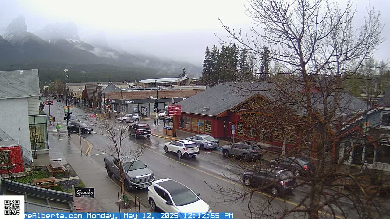 A rain-slicked street scene shows cars parked and driving past shops and buildings, with a mountain range partially obscured by fog in the background.
