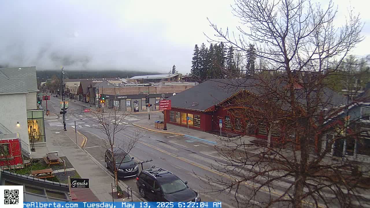 A foggy, overcast town street scene shows a quiet intersection with several cars parked and driving past low buildings under bare, winter trees.