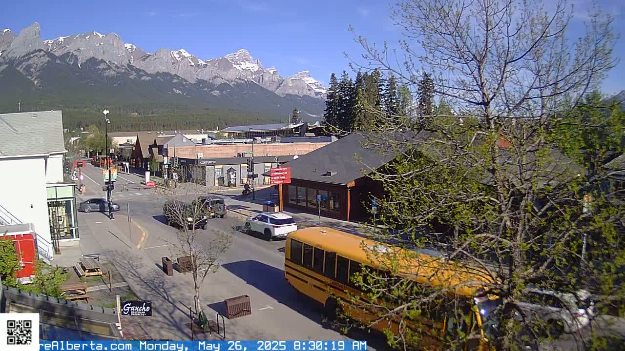 A street scene with a school bus and other vehicles, nestled in a town with buildings and trees, under a clear sky with snow-capped mountains in the background.