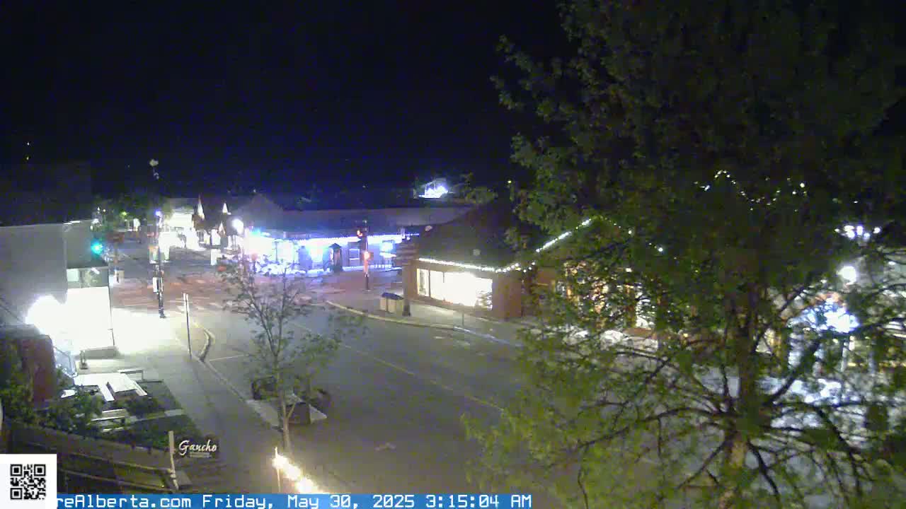 A nighttime view of a quiet town square with a few buildings illuminated, partially obscured by tree branches.